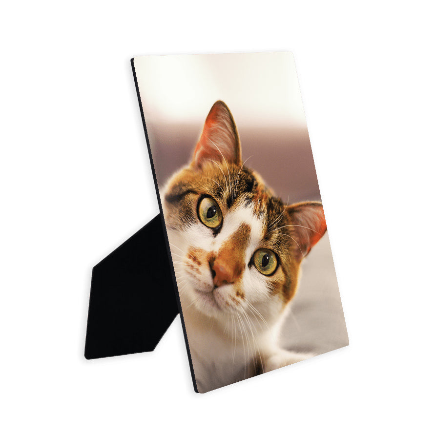 Custom Picture frame borderless printing with easel size 8x10in