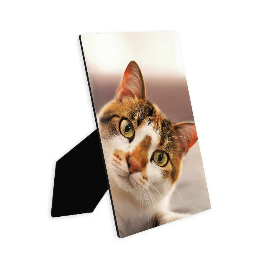 Custom Picture frame borderless printing with easel size 8x10in