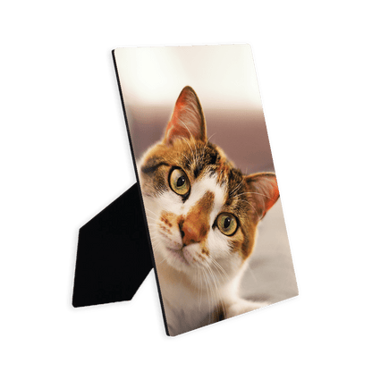 Custom Picture frame borderless printing with easel size 8x10in